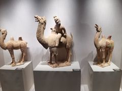 -中国农业博物馆