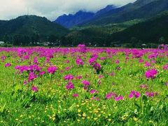 -丽江花间堂·隐泉院