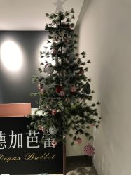 -德加芭蕾·舞蹈培训