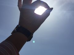 -王顺山国家森林公园