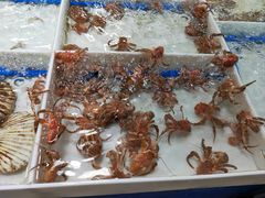 -桃源市场(解放路店)