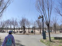 -东郊湿地公园