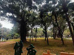-南宁南湖公园