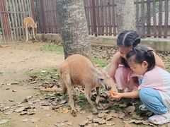 -大连森林动物园