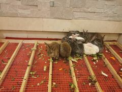 -京津新城温德姆至尊酒店(珠江大道店)