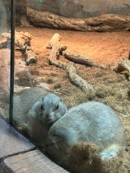 -Zoolung Zoolung动物主题公园(海信广场店)