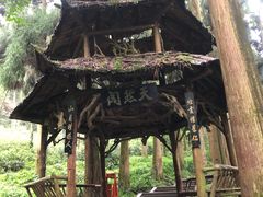 -青城山