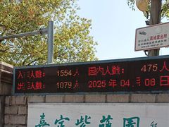 -嘉定紫藤园