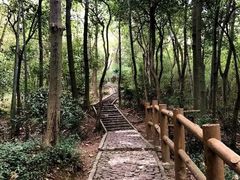 -上海佘山国家森林公园天马山园