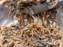 -清真·金鑫隆牛羊肉(环山路店)