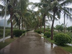 -亚龙湾国际玫瑰谷