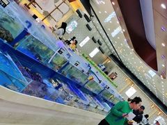 -必点蒸汽海鲜(止锚湾店)