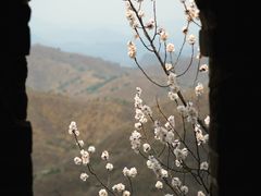 -蟠龙山长城景区