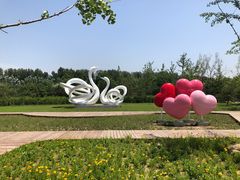 -东郊湿地公园