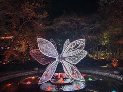-杭州黄龙洞