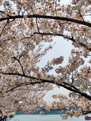 -玄武湖景区-情侣园游乐场