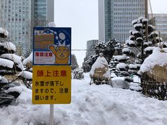 -北海道厅旧本厅舍(旧本庁舎)