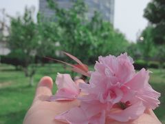 -武昌江滩