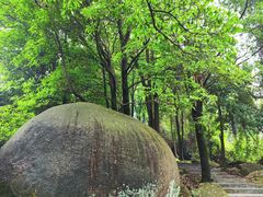 -火炉山森林公园