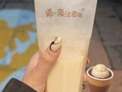-猫的魔法密林(衣裳街店)