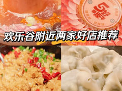 -李记东北饺子馆·东北菜(欢乐谷店)
