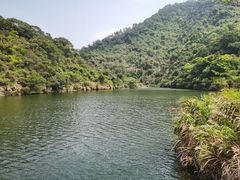 -梧桐山风景名胜区