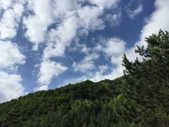 -官滩沟风景区