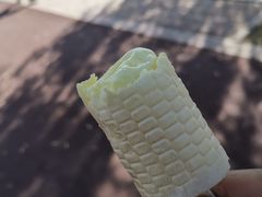 -济南国际园博园