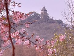 -上海辰山植物园