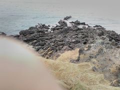 -涉地可支