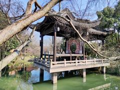 -西溪国家湿地公园