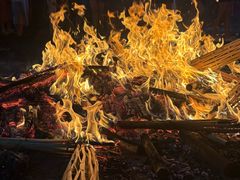 -呈贡滇池生态湿地公园