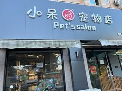 -小呆的宠物店·宠物售卖·宠物寄养(城西店)
