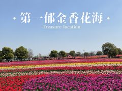 -荷兰花海