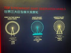 -新加坡摩天观景轮