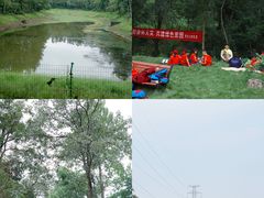 -青龙山国家森林公园