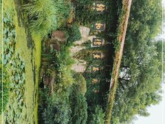 -中国茶叶博物馆(双峰馆区)