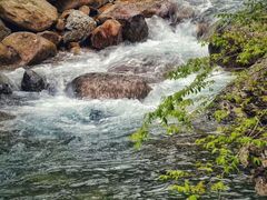 -祁门牯牛降观音堂风景区
