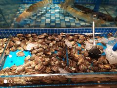 -蓝钻·国际美食海鲜自助百汇(西直门店)