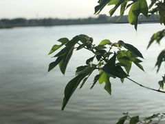 -采石矶景区