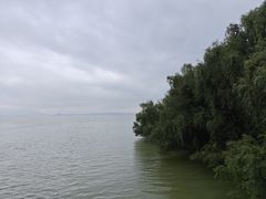 -深圳湾公园(南山区)