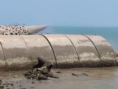 -东疆建设开发纪念公园