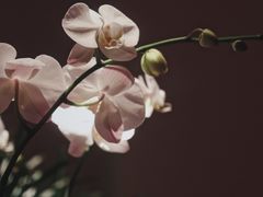 景观位-林四喜·闽南传家菜(鼓浪屿店)