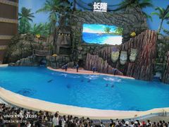 -珠海长隆海洋王国