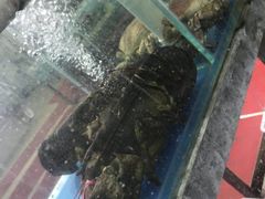 -87号烧烤海鲜·大排档(金沙滩店)