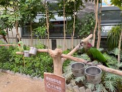 -南宫五洲植物乐园