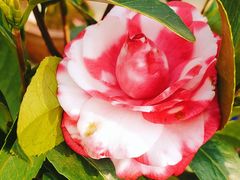 -利群海琴购物广场(商丘路店)