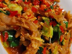 鸭掌筋-壹盏灯(惠农店)
