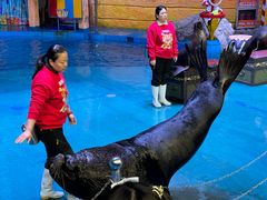 -烟台海昌鲸鲨海洋公园