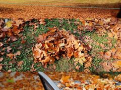 -河南省黄河迎宾馆